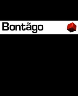 Bontago logo.jpg